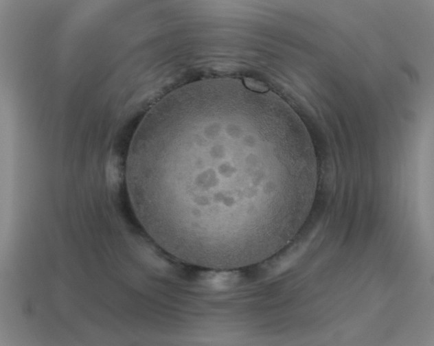 X0000113340135200909151139
