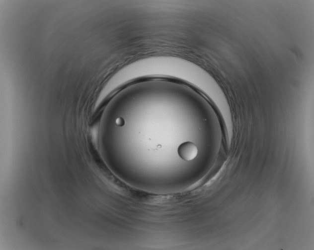 X0000113340136200909151139