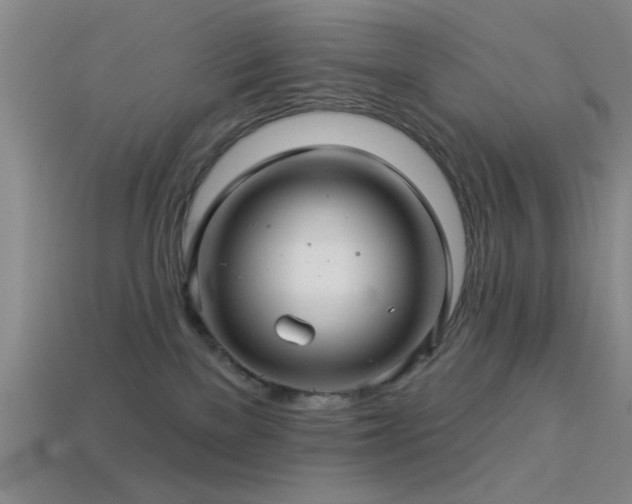 X0000113340137200909151139