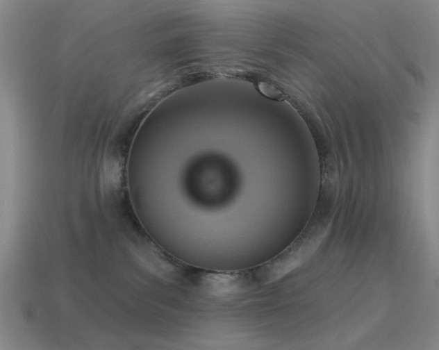 X0000113340139200909151139