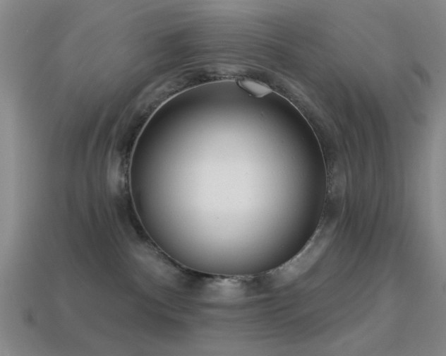 X0000113340140200909151139