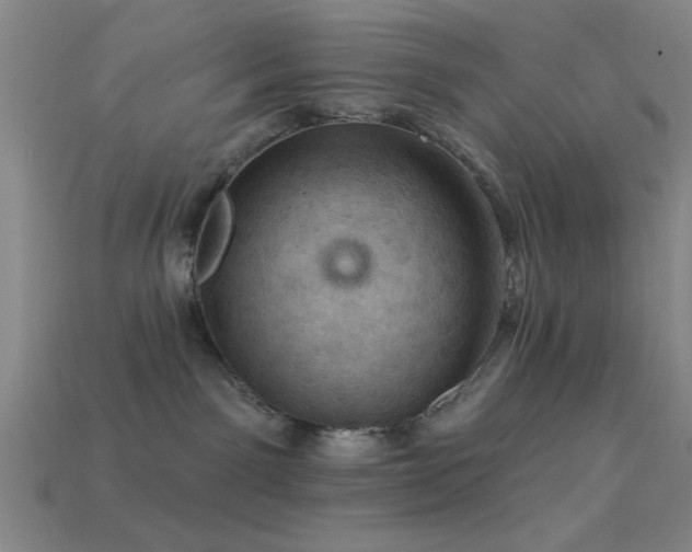 X0000113340141200909151139