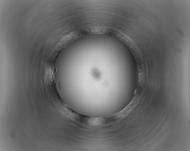 X0000113340142200909151139