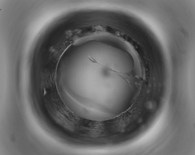 X0000113340143200909151139