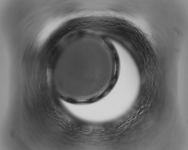 X0000113340146200909151138