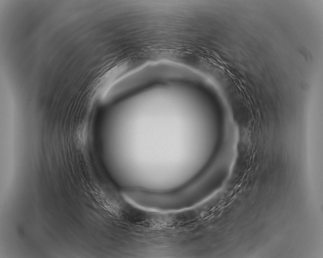 X0000113340148200909151138