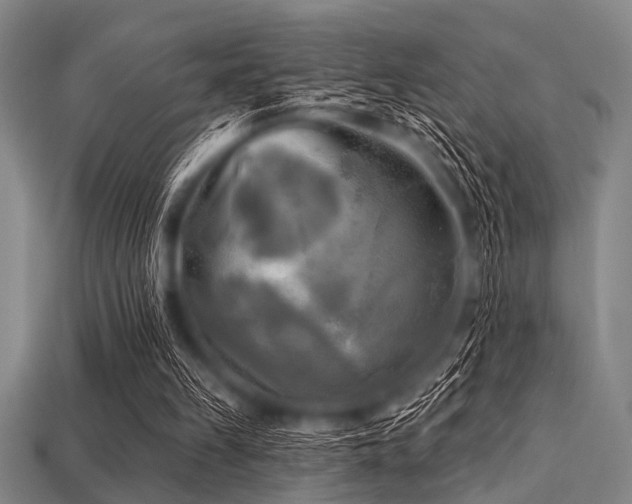 X0000113340149200909151138