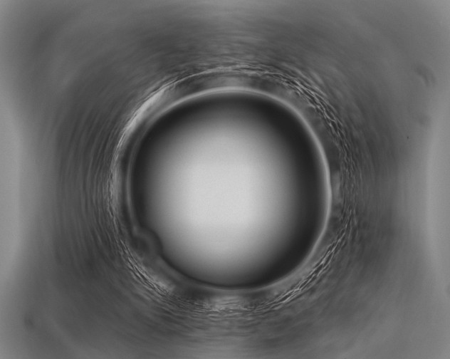 X0000113340150200909151138