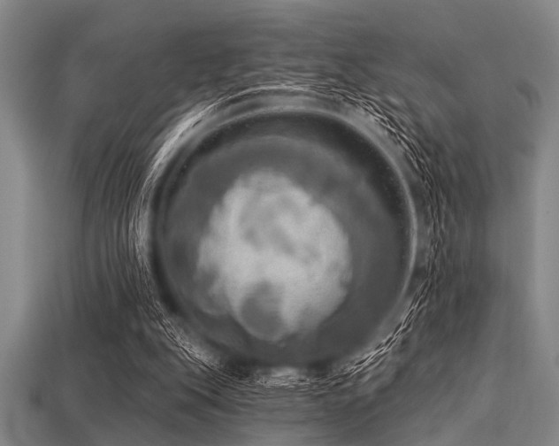 X0000113340151200909151138