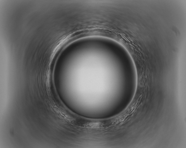 X0000113340152200909151138