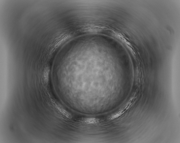 X0000113340153200909151138