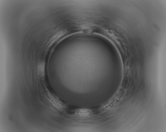 X0000113340154200909151138