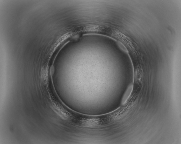 X0000113340156200909151138