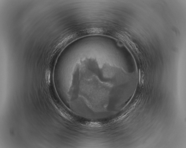 X0000113340157200909151138