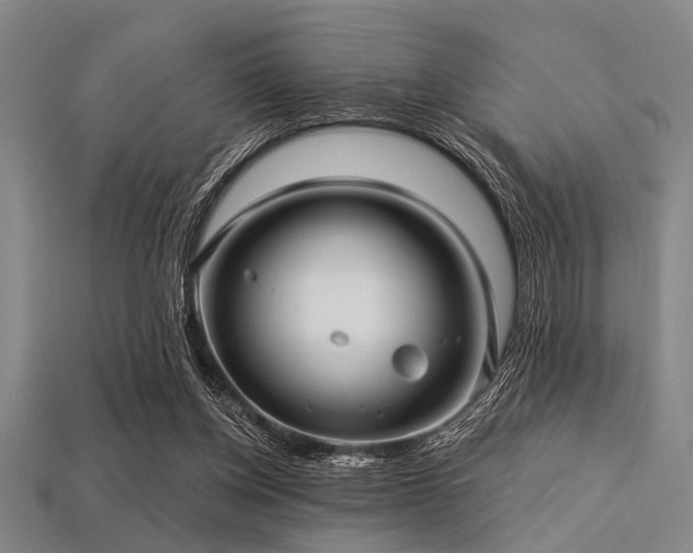X0000113340158200909151138