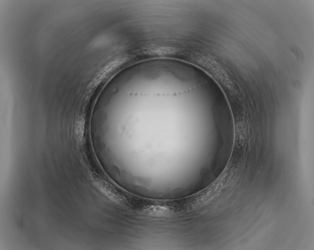 X0000113340159200909151138