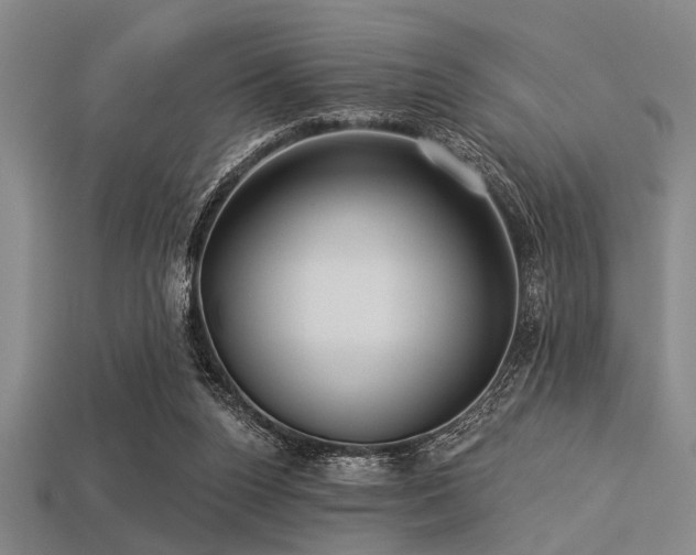 X0000113340160200909151138