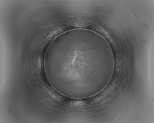 X0000113340161200909151138