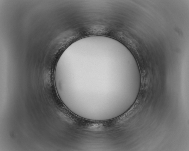 X0000113340162200909151138