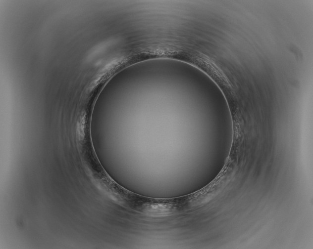 X0000113340163200909151138