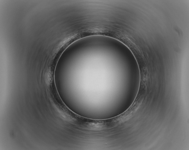 X0000113340164200909151138