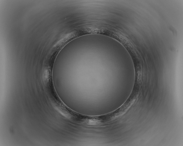 X0000113340165200909151138