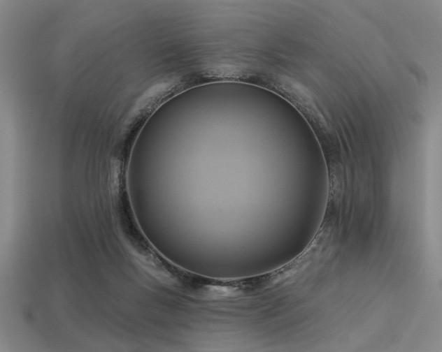 X0000113340167200909151138