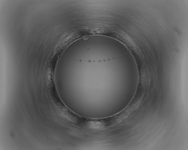 X0000113340169200909151138