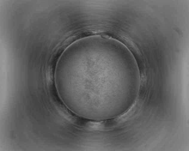 X0000113340170200909151138