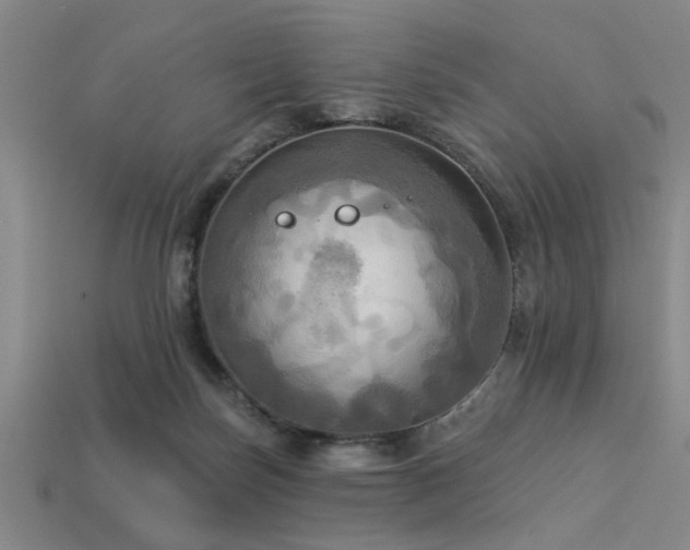 X0000113340171200909151138
