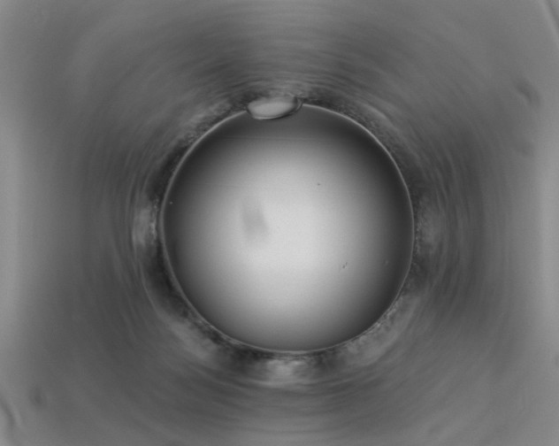 X0000113340172200909151138
