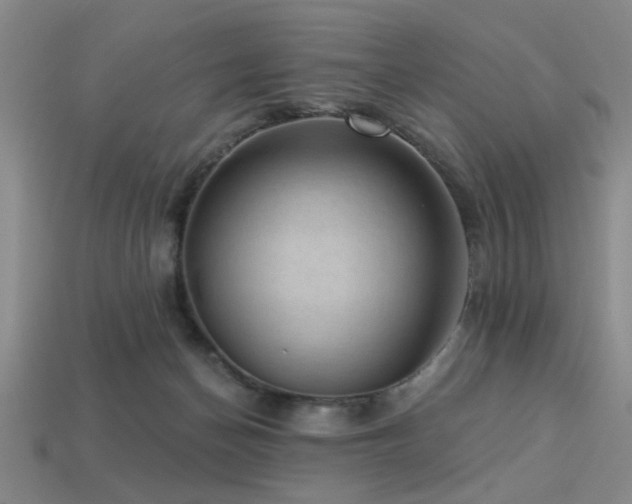 X0000113340174200909151138