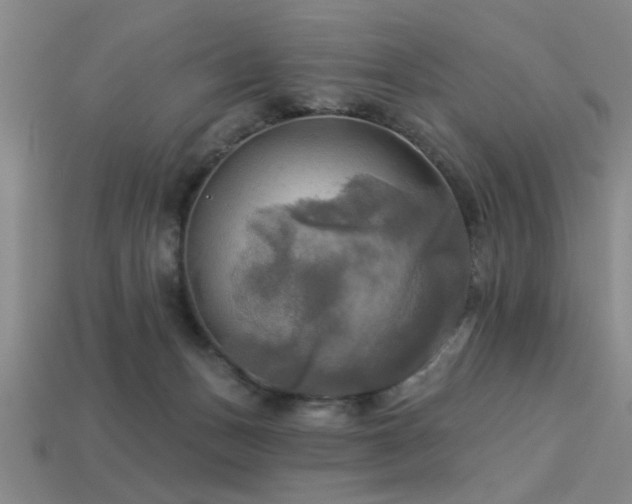 X0000113340175200909151138