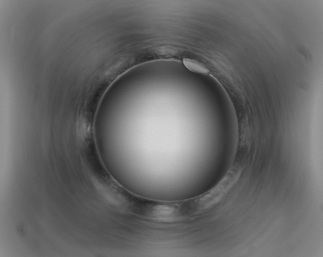 X0000113340176200909151138