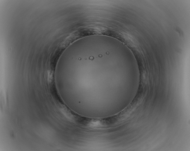 X0000113340177200909151138