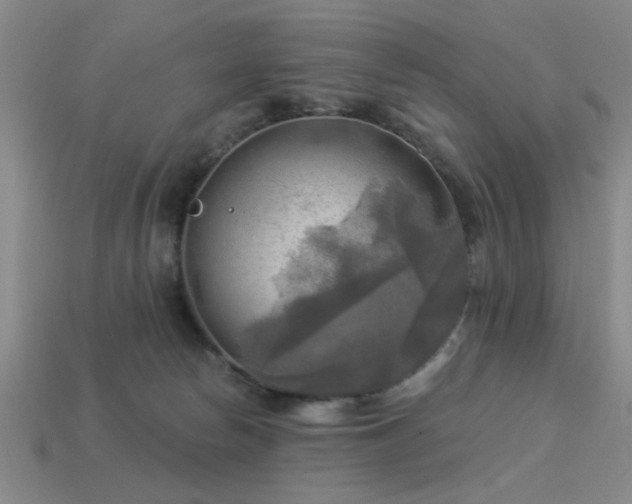 X0000113340178200909151138
