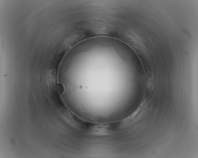 X0000113340179200909151138