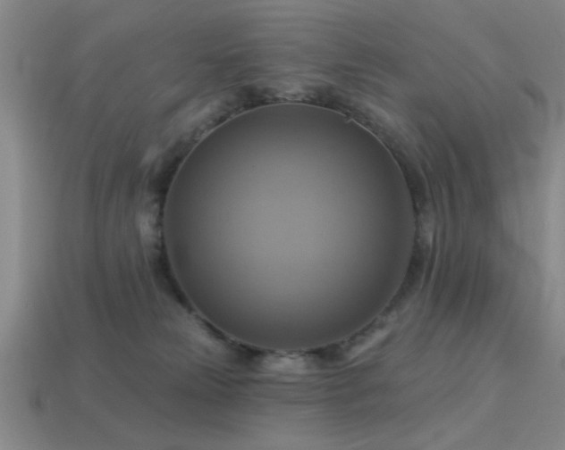 X0000113340181200909151139