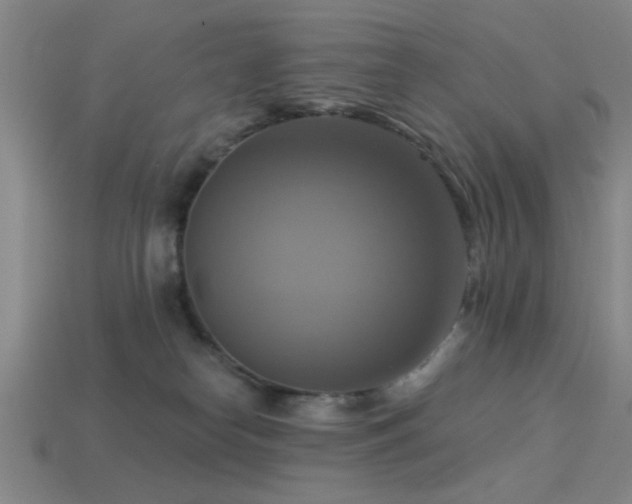 X0000113340182200909151139