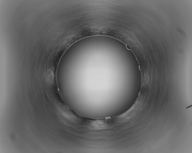 X0000113340183200909151139
