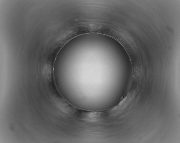 X0000113340184200909151139