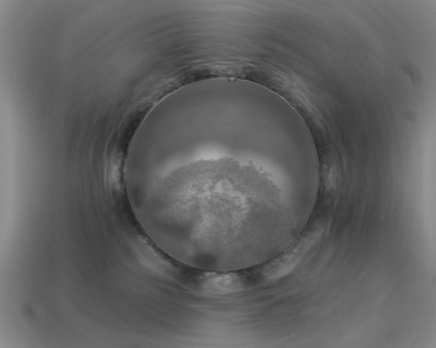 X0000113340185200909151139