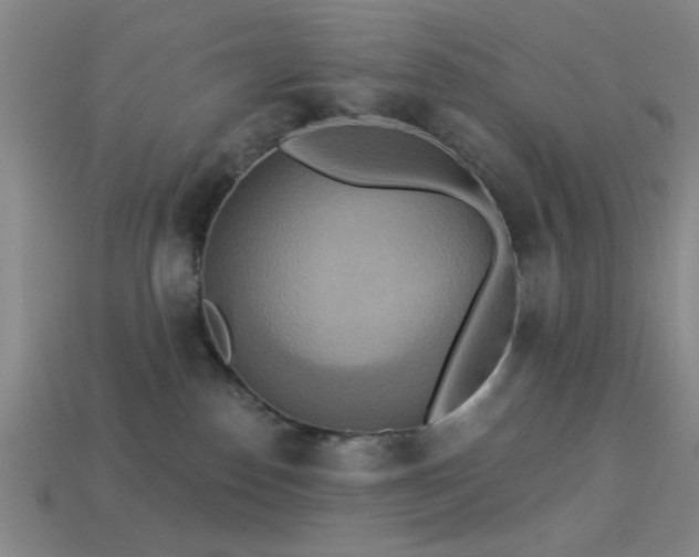 X0000113340186200909151139