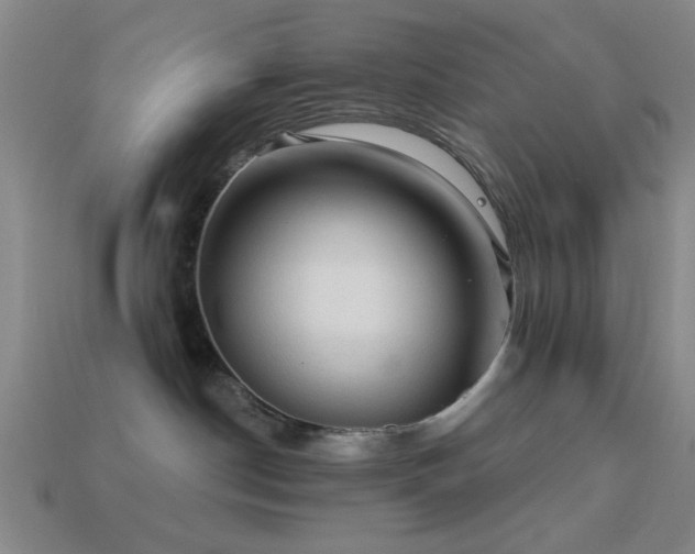 X0000113340190200909151139