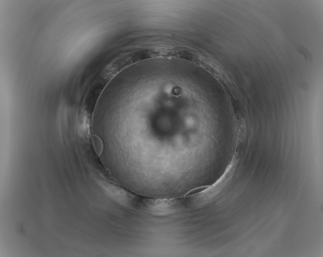 X0000113340191200909151139