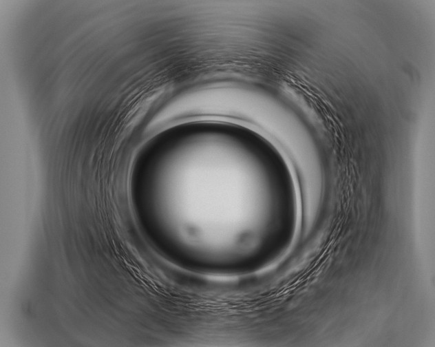 X0000113340193200909151138