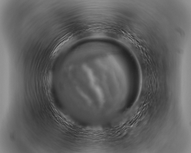 X0000113340194200909151138