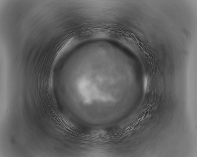 X0000113340195200909151138