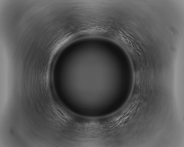 X0000113340196200909151138