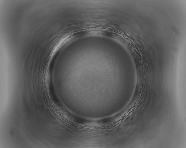 X0000113340198200909151138